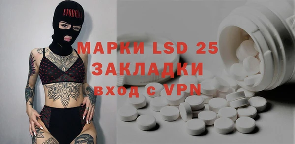 прущие грибы Абаза