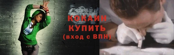 индика Абинск