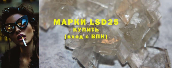 прущие грибы Абаза