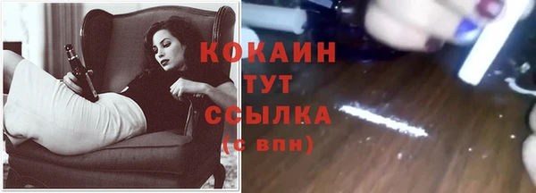 индика Абинск