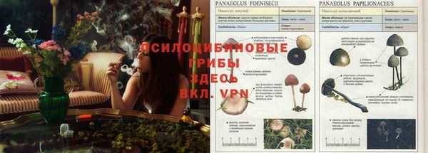 ALPHA-PVP Лиски