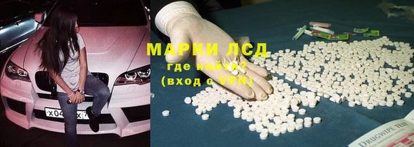 прущие грибы Абаза
